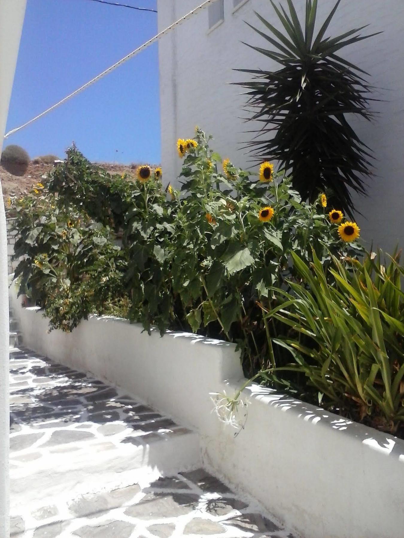 Athina'S Blue Studios Naousa  Exterior photo